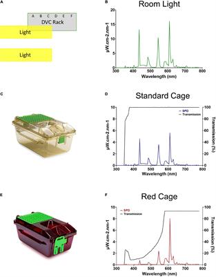 Effects of Cage Position and Light Transmission on Home Cage Activity and Circadian Entrainment in Mice